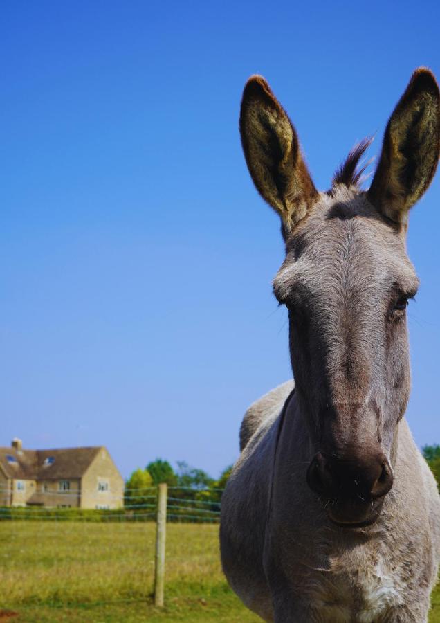 チャールベリー Banbury Hill Farm Bed & Breakfast エクステリア 写真